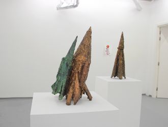 TWO PROJECTILES, INSTALLATION VIEW 